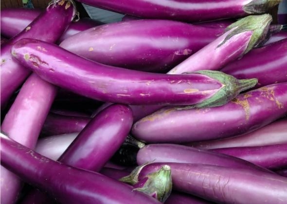 Melanzane Mignon Ca 10g 2kg pkg 4kg krt Spirc
