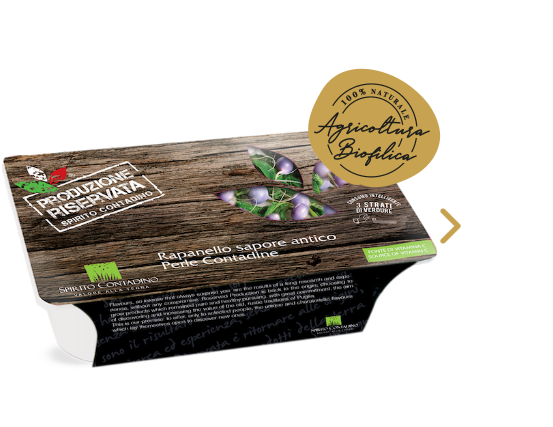 RAPANELLO SAPORE ANTICO PERLE CONTADINE 1KG CONF 4KG CRT SPIRC