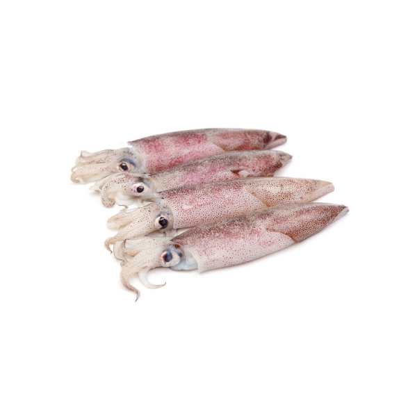 CALAMARO PULITO U5 10 C5 CB FAO41 CA 10KG CRT PER