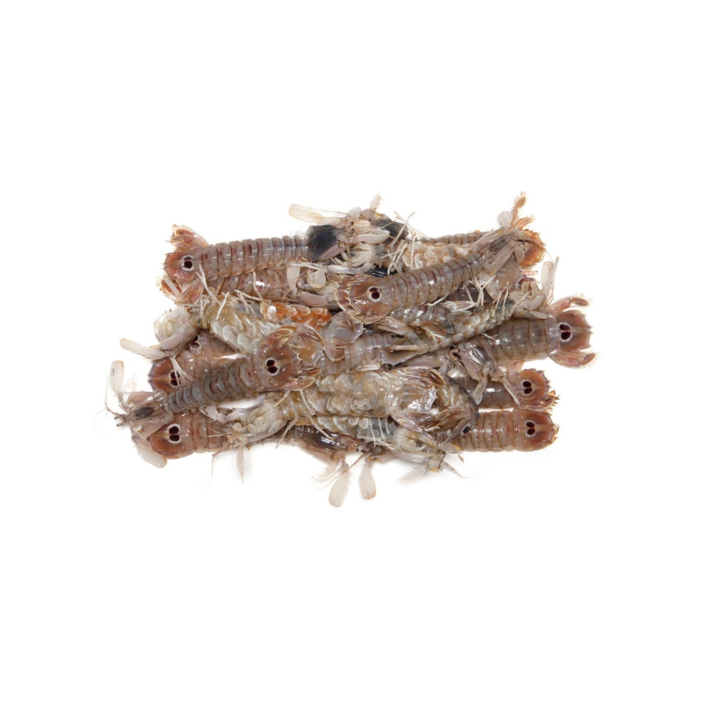 Cannocchie Pannocchie Iqf Mediterraneo M Cong Peso Netto Ca 5kg krt Fredd