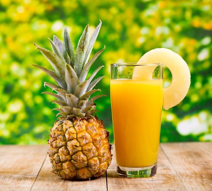 SUCCO DI ANANAS 1L 6BTL CRT AL