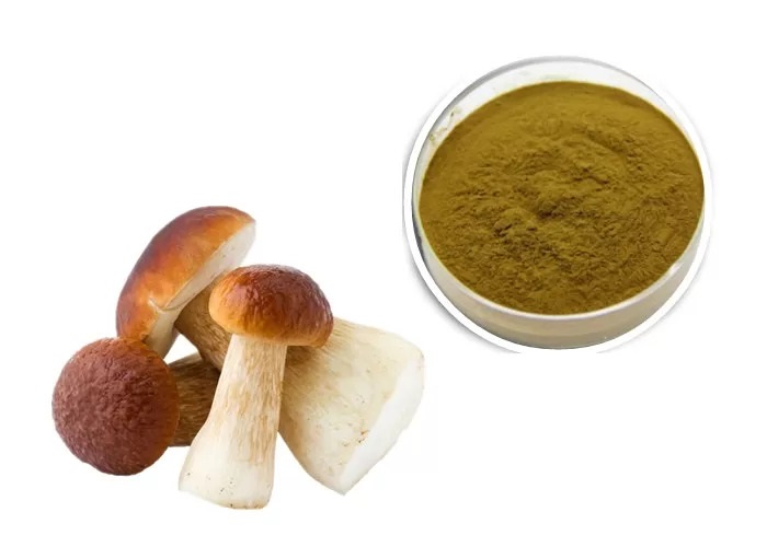 FUNGHI PORCINI IN POLVERE BARATTOLO 170G RIS
