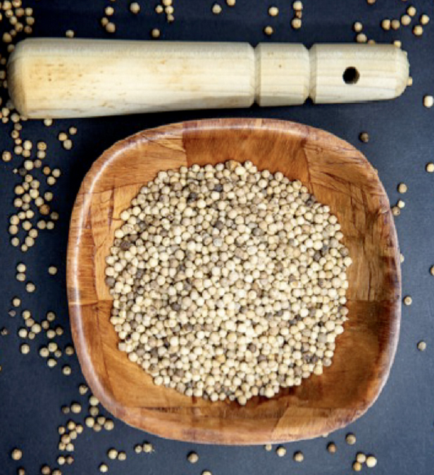 PEPE BIANCO INTERO DISPENSER 500G 6PZ CRT PAV