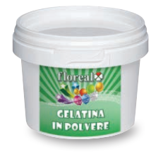 GELATINA IN POLVERE BAR 500G FLOR