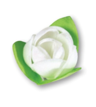 CHIC PISTILLO 108 PZ CRT FLOR