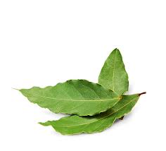 ALLORO FOGLIE BUSTA 500G 10PZ CRT PAV