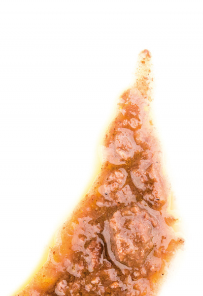 RAGU' DI ANATRA LATTA 800G 6PZ CRT RIS 