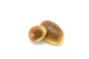 Maritozzo Vuoto Cotto cong 40g pièces ALB