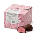 Raspberry Mini Bite 10 g (Carton 70) — Dai Dai