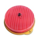 Yogurt and Raspberry Cake 1.4 kg MAR