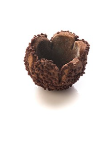 CESTINO DI FROLLA MICRO GRANELLATO CACAO 140 PZ A CRT INNO 