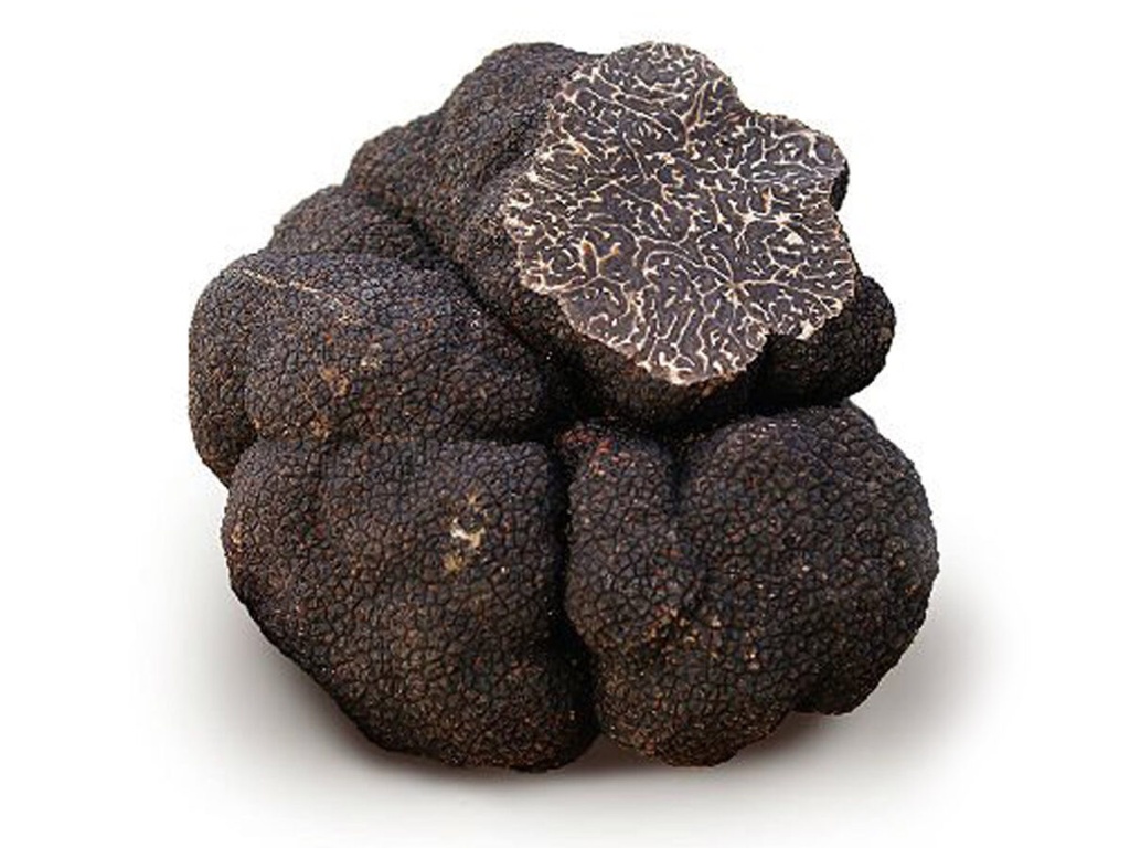 TARTUFO NERO MELANOSPORUM FRESCO TEAM