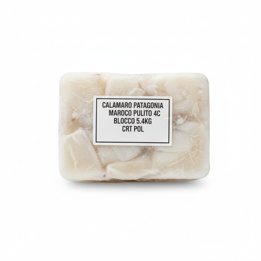 Calamaro Patagonia Marocco Pulito 4C Blocco kg - carton 5.4kg POL