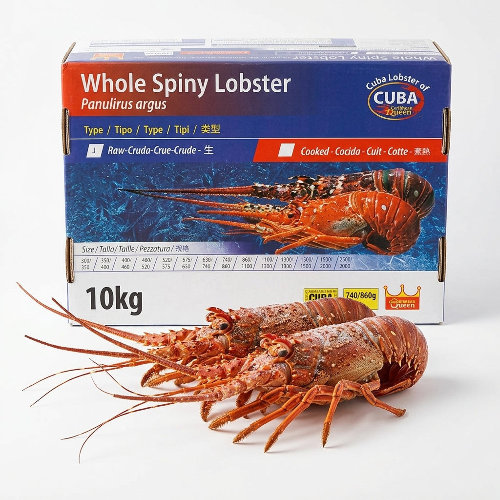 Langouste Entiere Crue Congelee Cuba 740/860g Crt 10kg PH