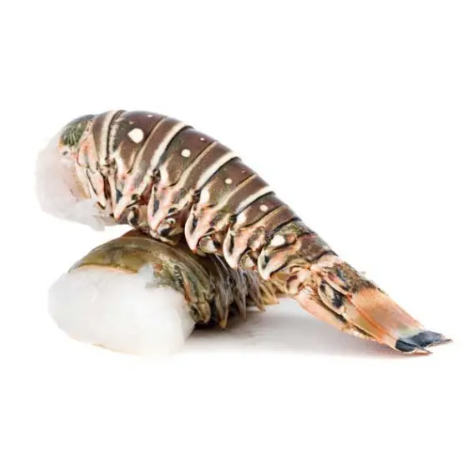 Coda Di Aragosta Cuba (10/12oz) 4 pkg X 5 kg - 20 kg krt Ph