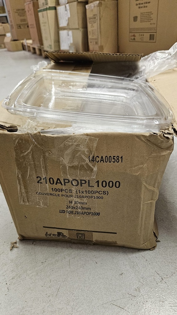 Quadratischer PET-Deckel 240x240mm H30mm Für 210APOP1000 100Stk Krt First