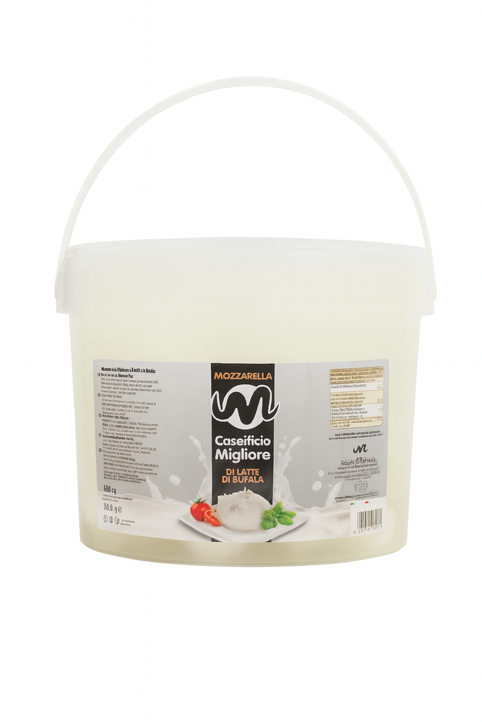MOZZARELLA DI BUFALA SECCHIO 2KG 100 X 20G AL