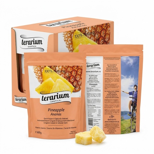 Ananas a Pezzi Surgelato Terarium Exotica 600g pz