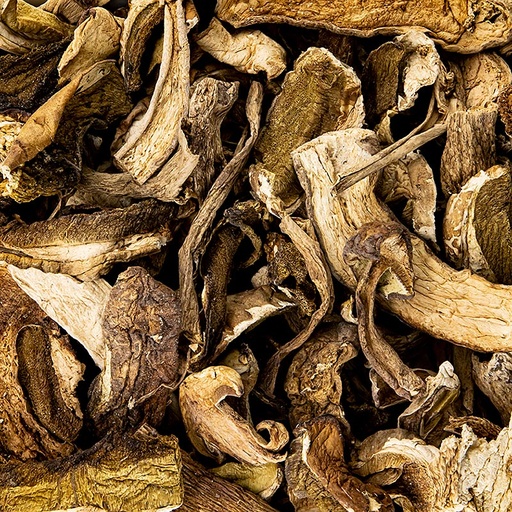 [01025020] Funghi Porcini Interi Secchi 1 kg