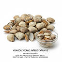 Whole Venus Clams from Turkey 500 g (Case 6 pcs)