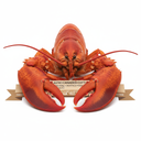 Astici Canadesi Cotti 500/550g - Crostacei Premium Extra